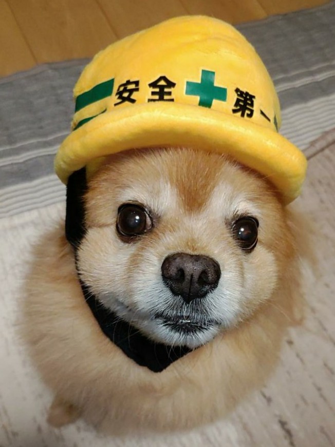 ケアサポート快心